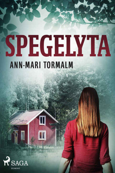 Omslag: Spegelyta