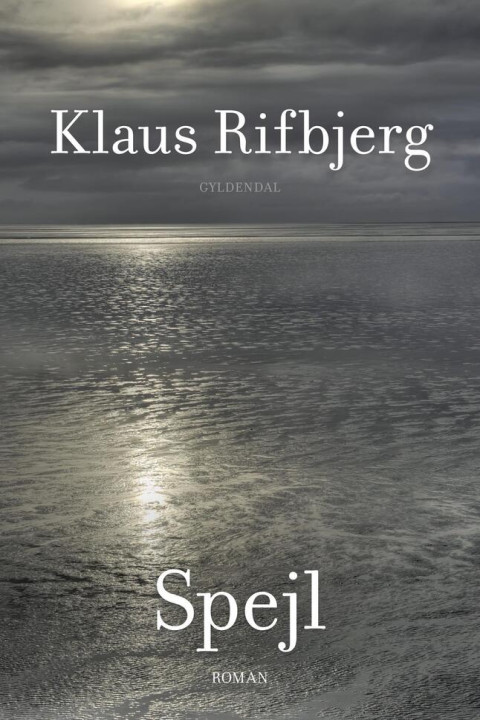 Omslag: Spejl