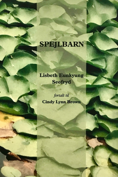 Omslag: Spejlbarn