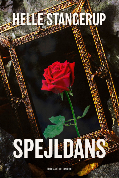 Omslag: Spejldans