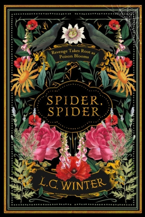 Omslag: Spider, Spider