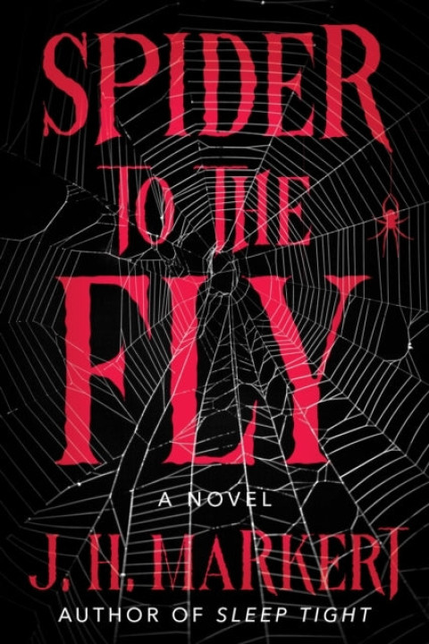 Omslag: Spider to the Fly
