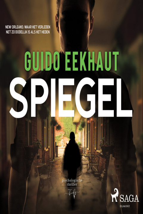 Omslag: Spiegel