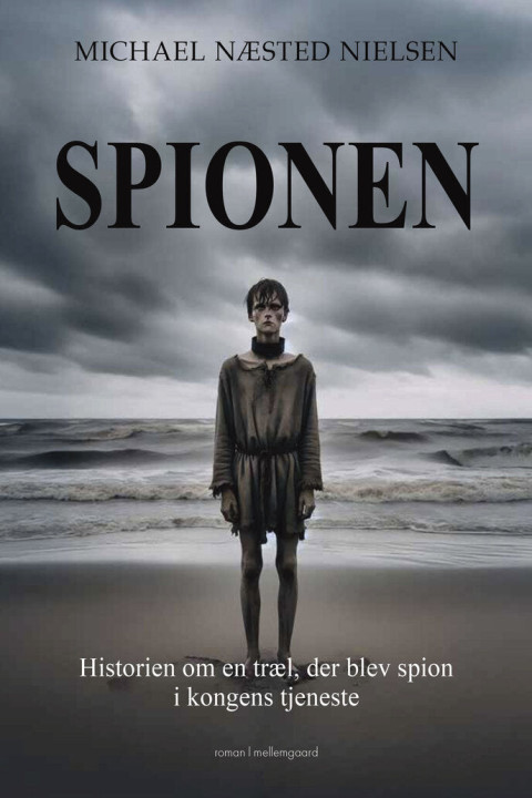 Omslag: SPIONEN