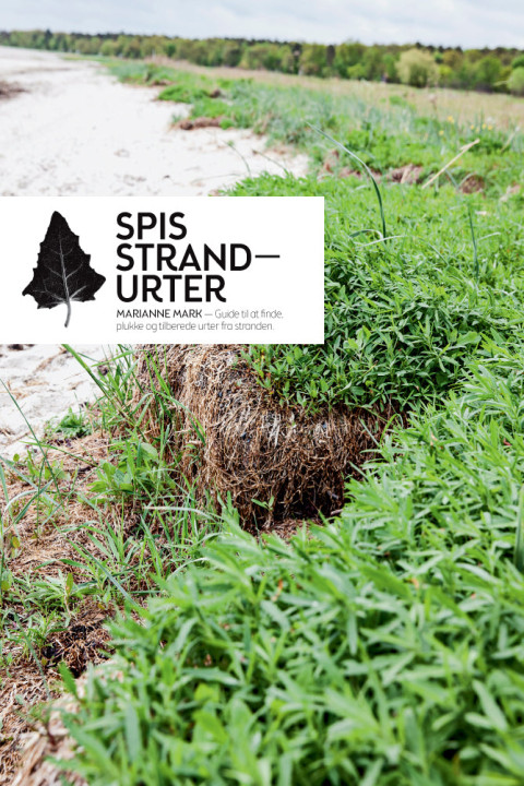 Omslag: Spis strandurter