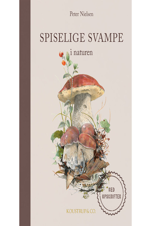 Omslag: Spiselige svampe
