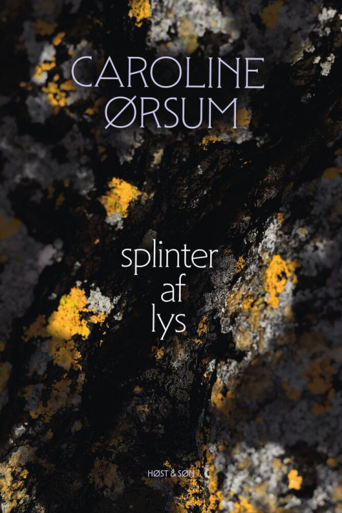 Omslag: splinter af lys