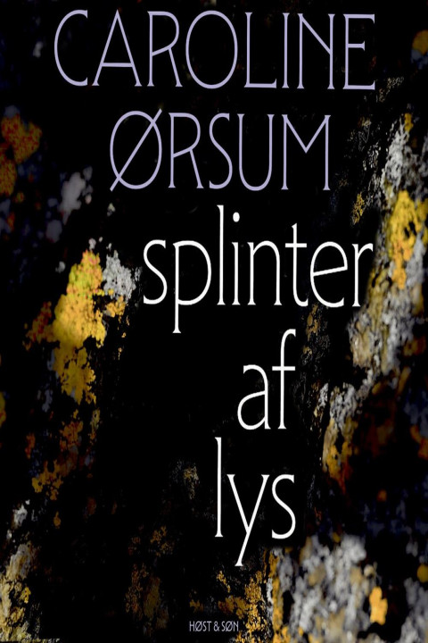 Omslag: splinter af lys