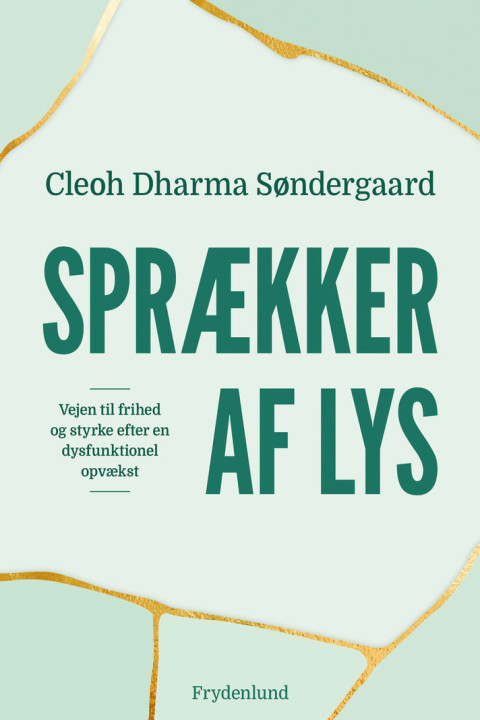 Omslag: Sprækker af lys