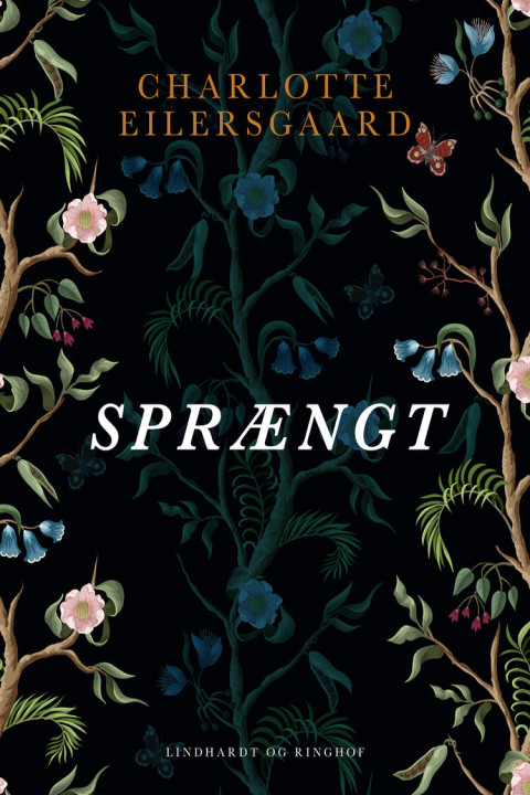 Omslag: Sprængt
