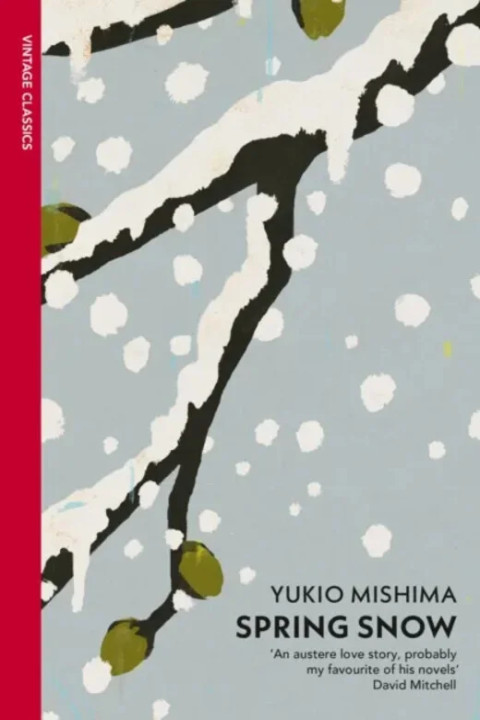 Omslag: Spring Snow