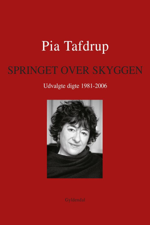 Omslag: Springet over skyggen