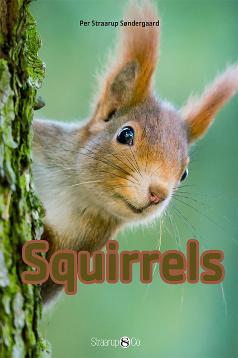 Omslag: Squirrels