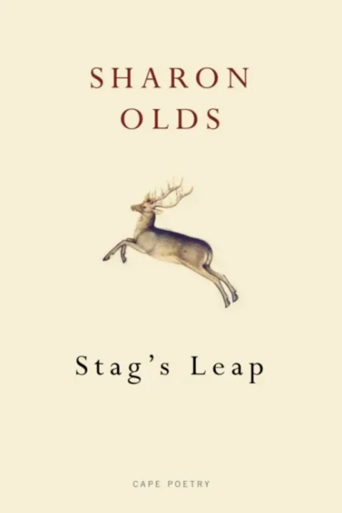 Omslag: Stag s Leap
