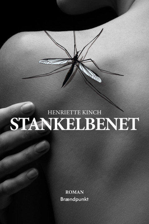 Omslag: Stankelbenet