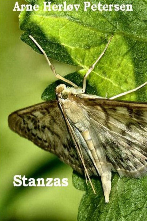 Omslag: Stanzas