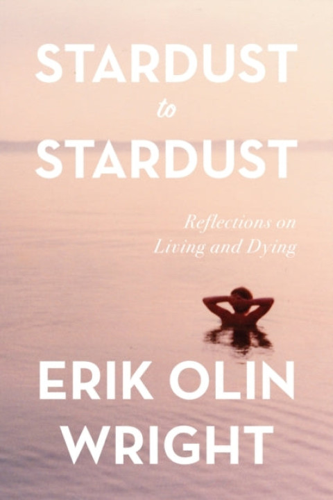 Omslag: Stardust to Stardust