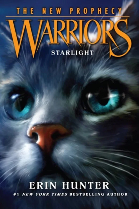 Omslag: STARLIGHT