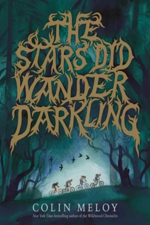 Omslag: Stars Did Wander Darkling