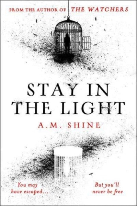Omslag: Stay in the Light