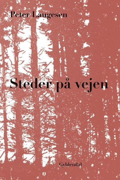 Omslag: Steder på vejen