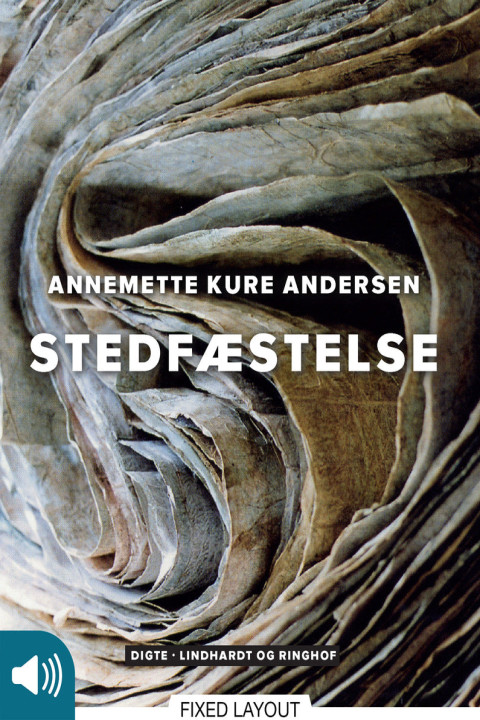 Omslag: Stedfæstelse