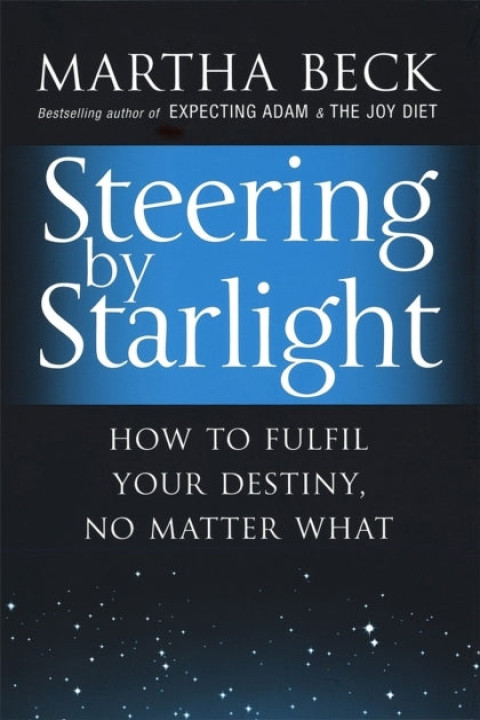 Omslag: Steering by Starlight