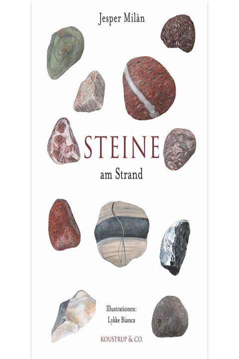 Omslag: STEINE