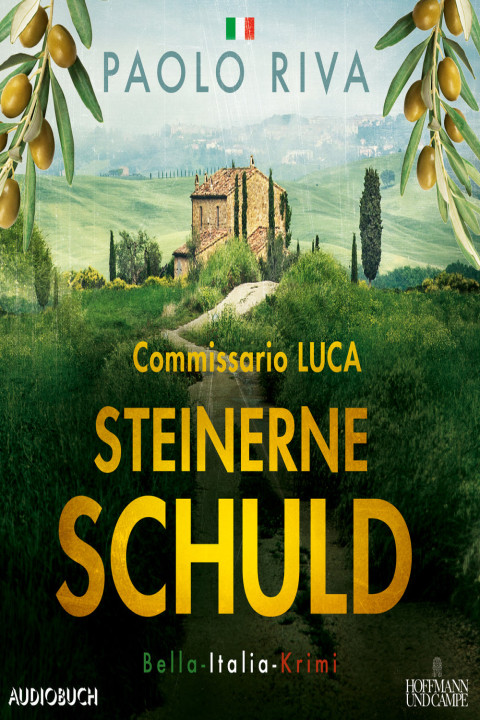 Omslag: Steinerne Schuld