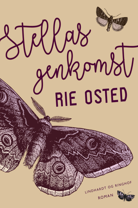 Omslag: Stellas genkomst