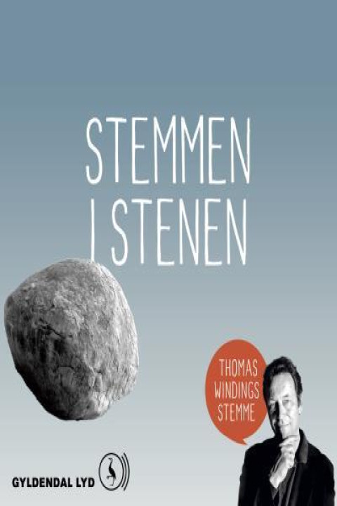 Omslag: Stemmen i stenen