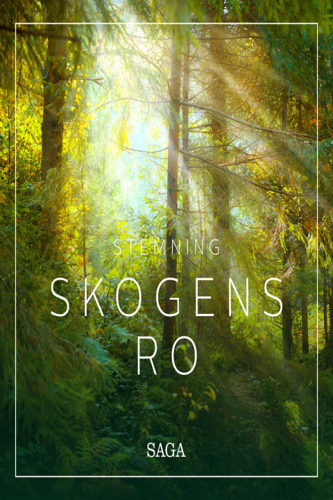 Omslag: Stemning - Skogens ro