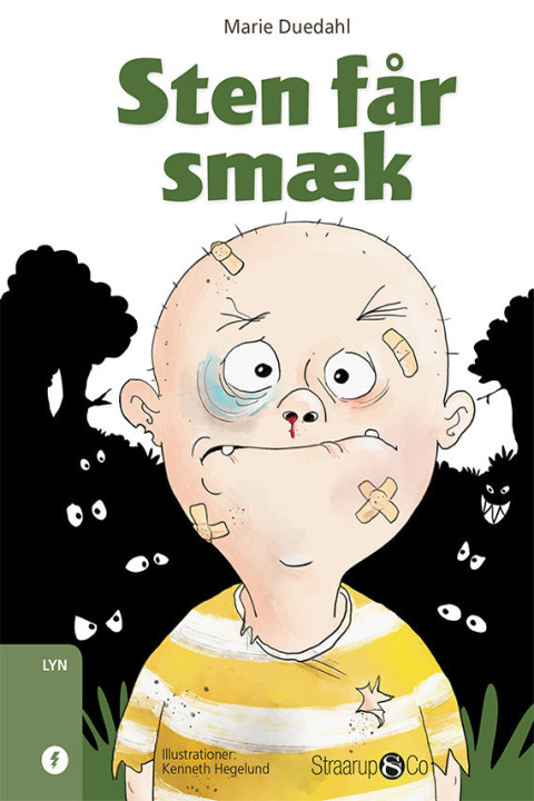 Omslag: Sten får smæk