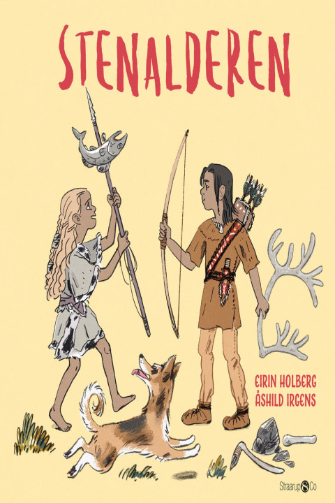 Omslag: Stenalderen