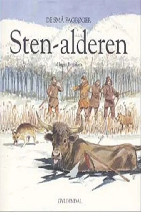 Omslag: Stenalderen