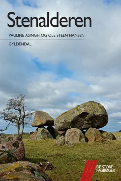 Omslag: Stenalderen