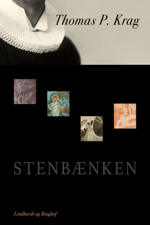 Omslag: Stenbænken