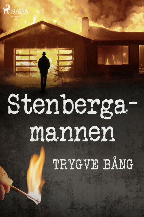Omslag: Stenbergamannen