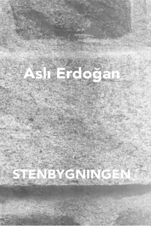 Omslag: Stenbygningen