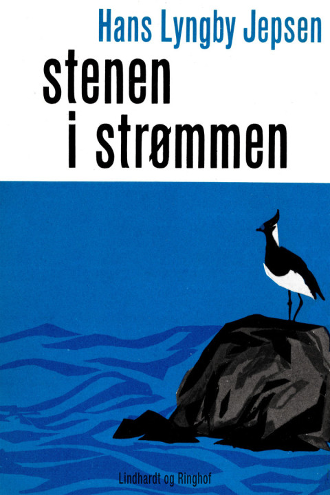 Omslag: Stenen i strømmen
