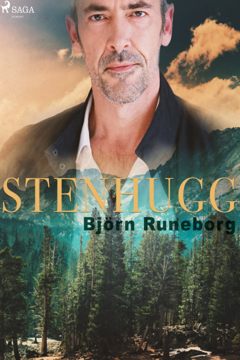 Omslag: Stenhugg