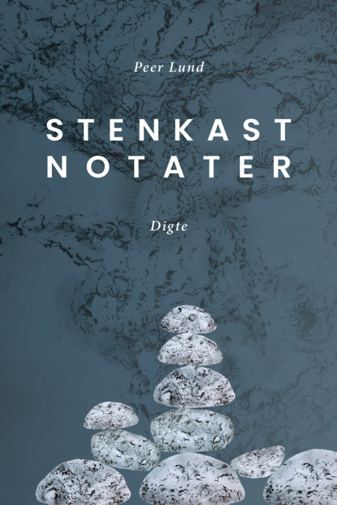 Omslag: Stenkastnotater