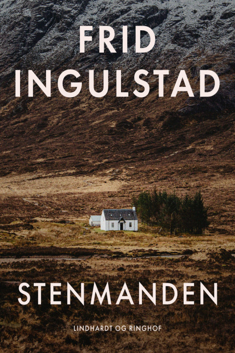 Omslag: Stenmanden