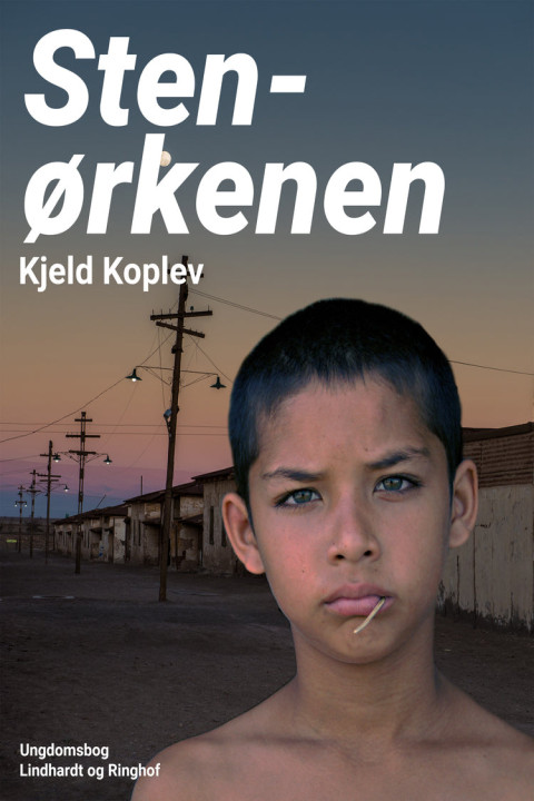 Omslag: Stenørkenen