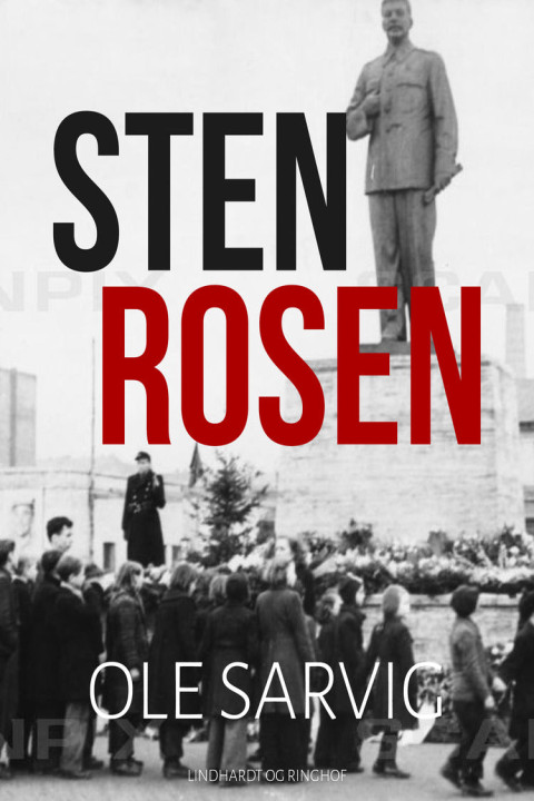 Omslag: Stenrosen