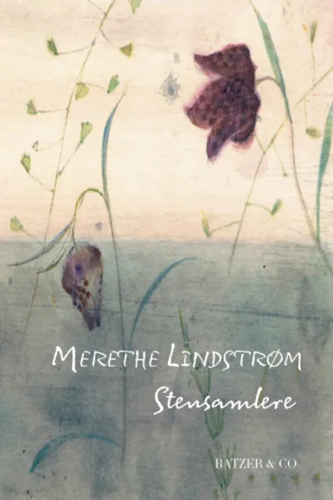 Omslag: Stensamlere