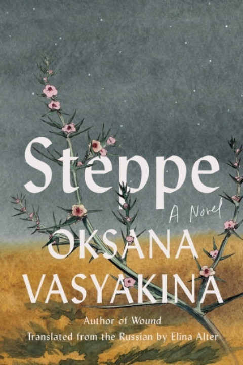 Omslag: Steppe