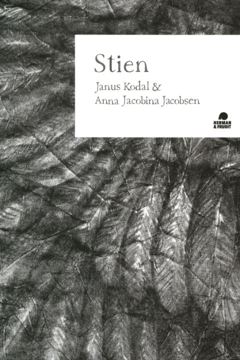 Omslag: Stien
