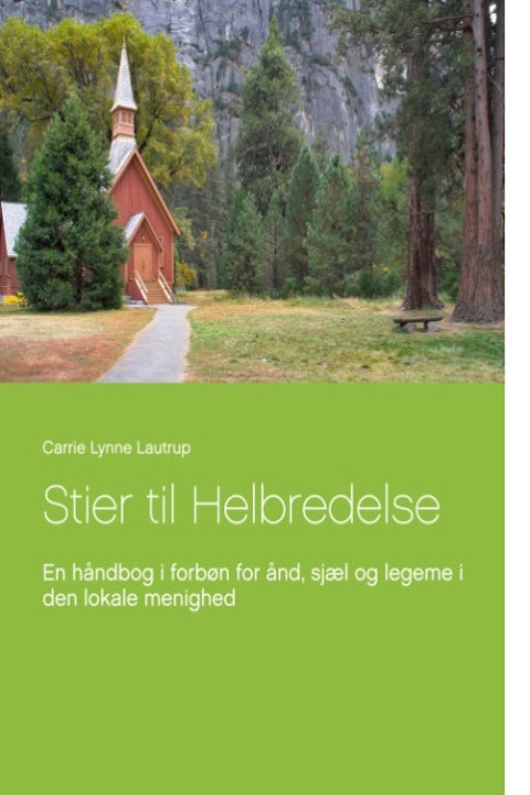 Omslag: Stier til Helbredelse