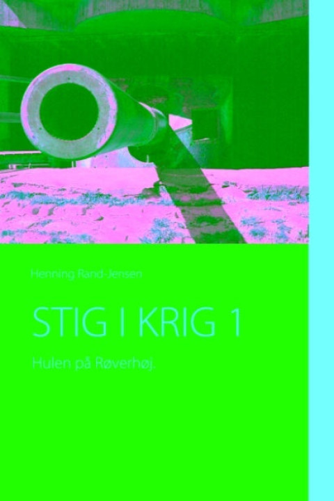 Omslag: STIG I KRIG 1